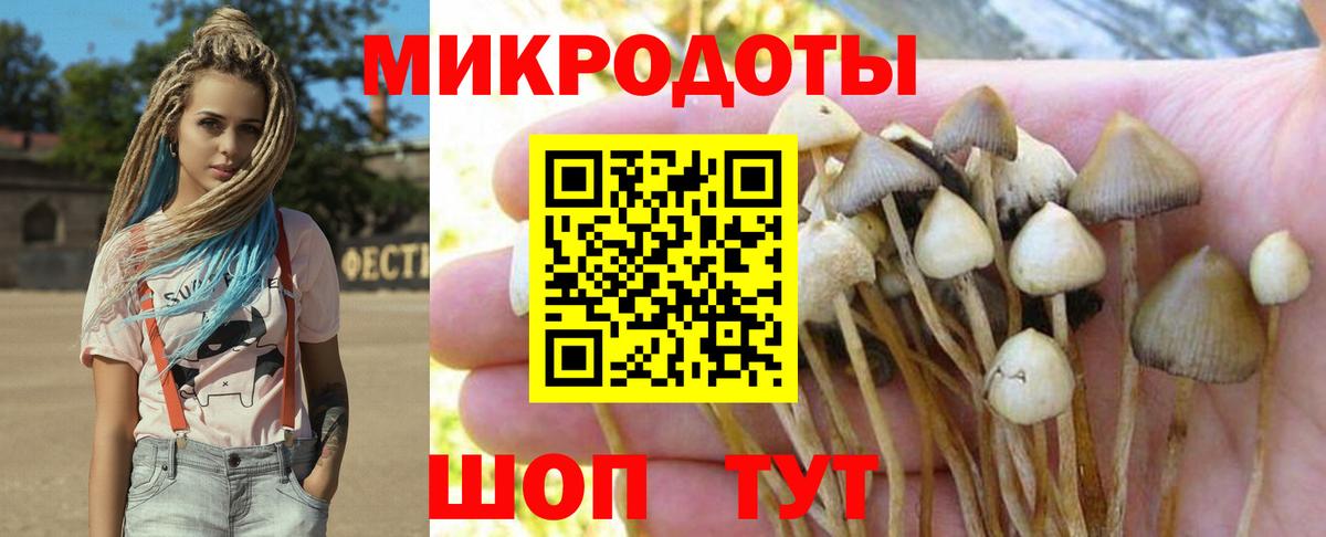 где найти наркотики  Галлюциногенные грибы мицелий  Вход с VPN  Богданович  Галлюциногенные грибы ЛСД 