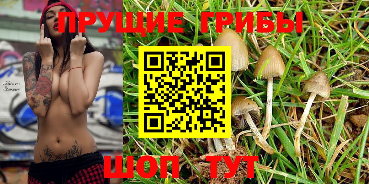Псилоцибиновые грибы Magic Shrooms Богданович